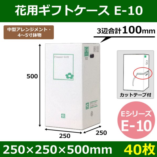 画像1: 送料無料・花用ギフトケースE-10 エコノミータイプ 250×250×500mm／580 「40枚」