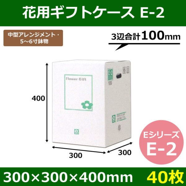 画像1: 送料無料・花用ギフトケースE-2 エコノミータイプ 300×300×400mm／500 「40枚」