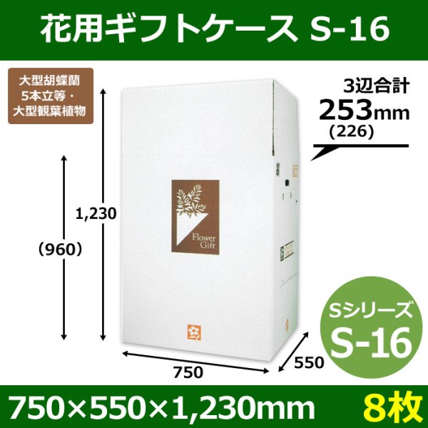 画像1: 送料無料・花用ギフトケースS-16 サイズ調節可能 750×550×1,230(960)mm 「8枚」