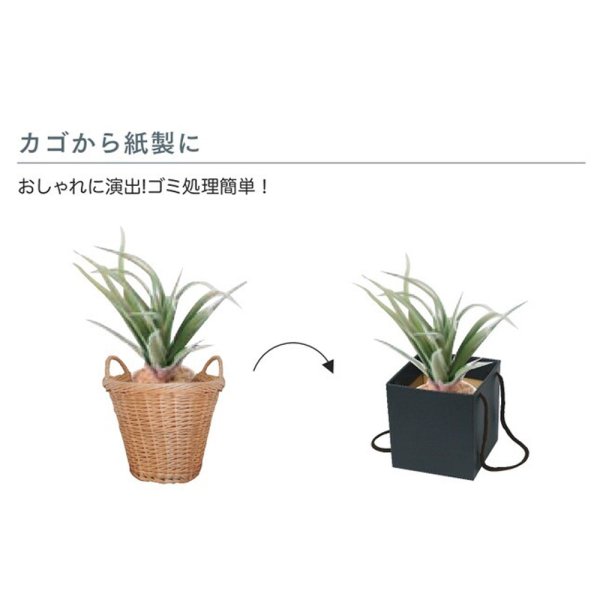 画像3: 送料無料・ギフト箱（花用）スクエアBOX 110×110×115mmほか「100枚」