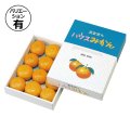 送料無料・ギフト箱 ハウスみかん 210×285×55mmほか「60枚・100枚」