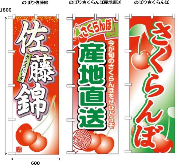 画像2: 送料無料・フルーツ用資材 のぼり 佐藤錦/全国共通 600×1800(mm) 「1枚」