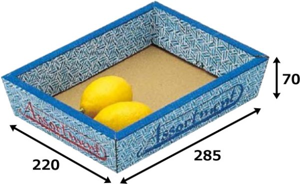 画像2: 送料無料・ギフト箱（盛箱）竹柄 小/中/大 220×285×70mmほか「100枚」