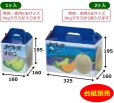 画像2: 送料無料・手提袋 北海道メロン 1ヶ入/2ヶ入 160×160×195mmほか「50枚・100枚」 (2)