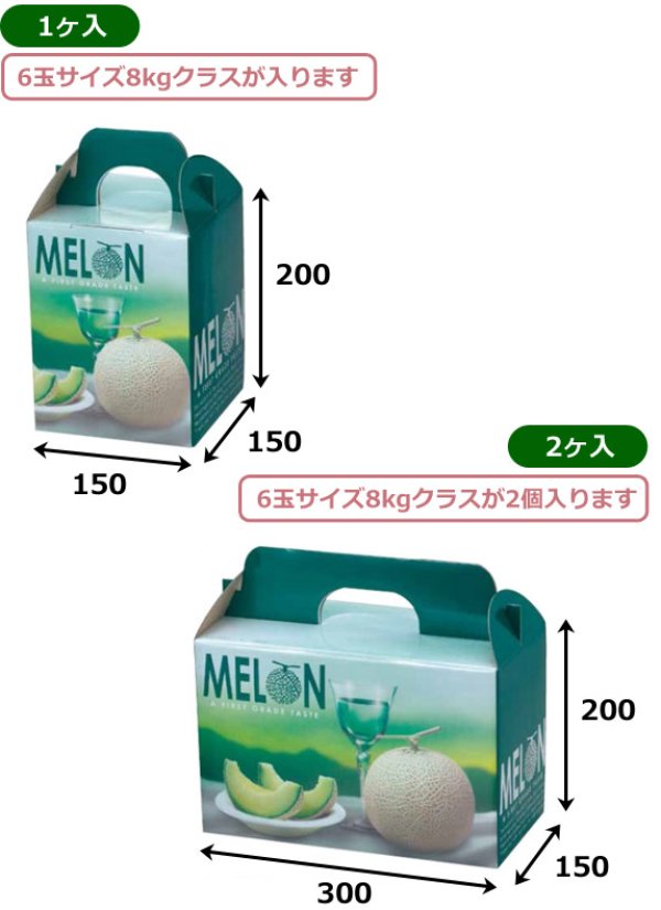 画像2: 送料無料・手提箱 ビリジスメロン 1ヶ入/2ヶ入 150×150×200mmほか「50枚・100枚」