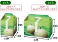 画像2: 送料無料・ギフト箱 ジュエルメロン 1ヶ入/2ヶ入 160×160×195mm「50枚・100枚」 (2)