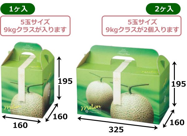 画像2: 送料無料・ギフト箱 ジュエルメロン 1ヶ入/2ヶ入 160×160×195mm「50枚・100枚」