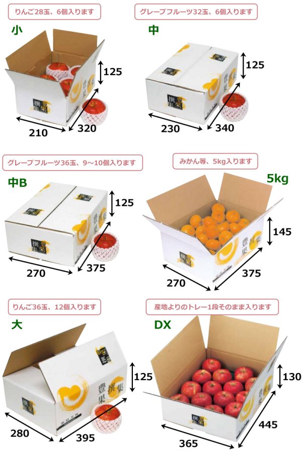 画像2: 送料無料・ギフト箱（フルーツ用）豊果撰集 310×200×H115mmほか「40枚〜80枚」