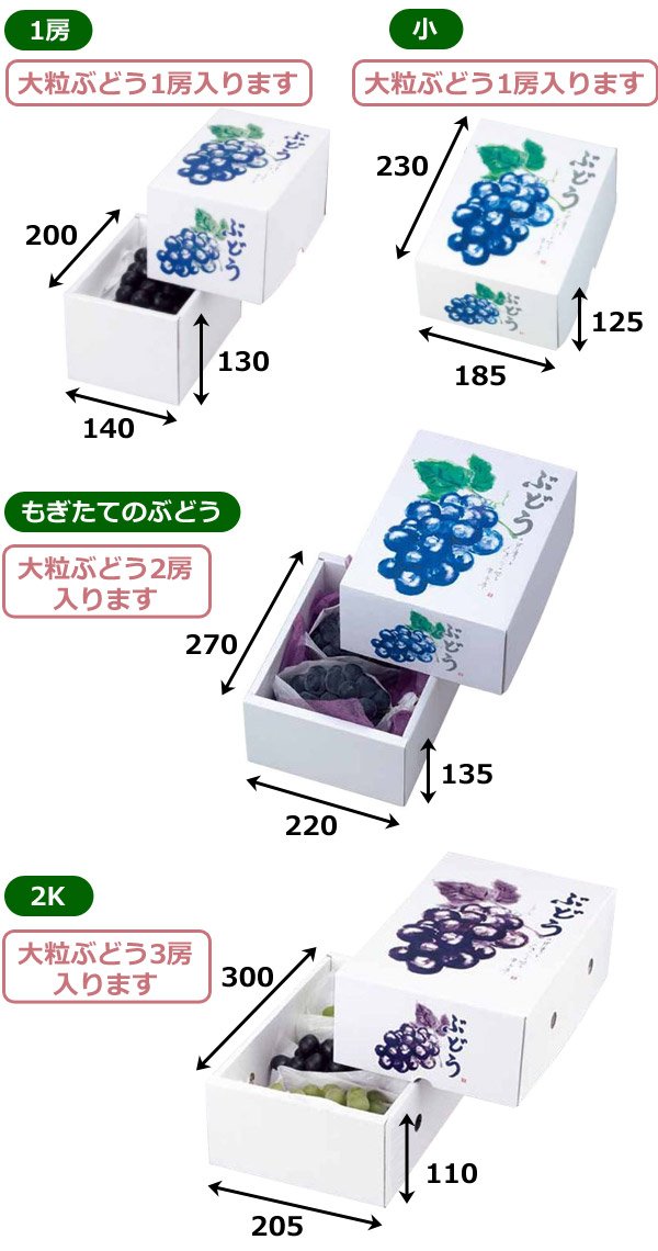 画像2: 送料無料・ギフト箱 もぎたてのぶどう 1房〜3房 140×200×130mm「40枚・50枚」