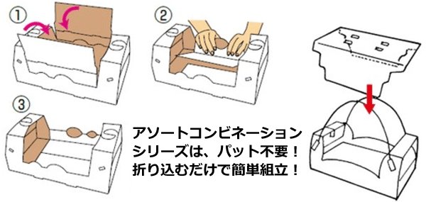 画像5: 送料無料・手提箱（フルーツ用）アソートコンビネーション手提 195×195×105mmほか「50枚・100枚」