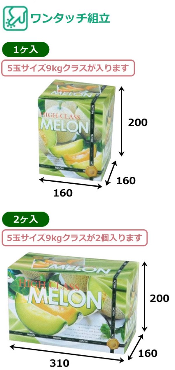 画像2: 送料無料・ギフト箱 ハイクラスメロンL 1ヶ入/2ヶ入 160×160×200mmほか「200枚」