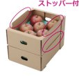 画像3: 送料無料・サービスコンテナ 235×345×105mm「80枚・100枚」 (3)