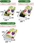 画像2: 送料無料・ギフト箱 デリシャス葡萄  深口 220×270×135mmほか「30枚・50枚」 (2)