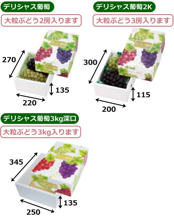 画像2: 送料無料・ギフト箱 デリシャス葡萄  深口 220×270×135mmほか「30枚・50枚」