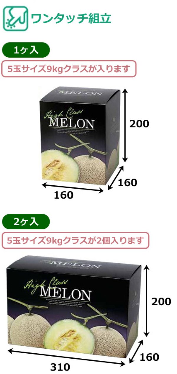 画像2: 送料無料・ギフト箱（メロン用）グランドメロンL 1ヶ入/2ヶ入  160×160×200mmほか「50枚・100枚」