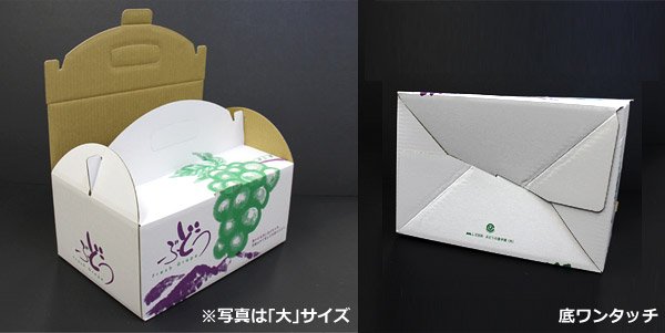 画像4: 送料無料・ギフト箱 ぶどうの里 225×160×150mm「50枚・100枚」