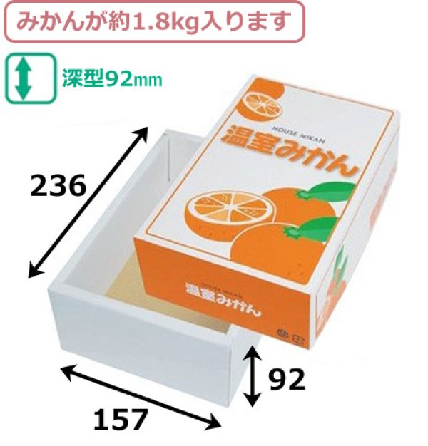 画像2: 送料無料・ギフト箱 温室みかん 157×236×92mm「50枚」