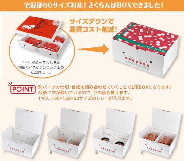 画像3: 送料無料・ギフト箱 さくらんぼ 2段BOX 269×180×122mm「50枚」