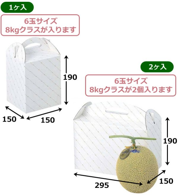 画像2: 送料無料・手提袋 金線メロン 1ヶ入/2ヶ入 150×150×190mmほか「50枚・100枚」