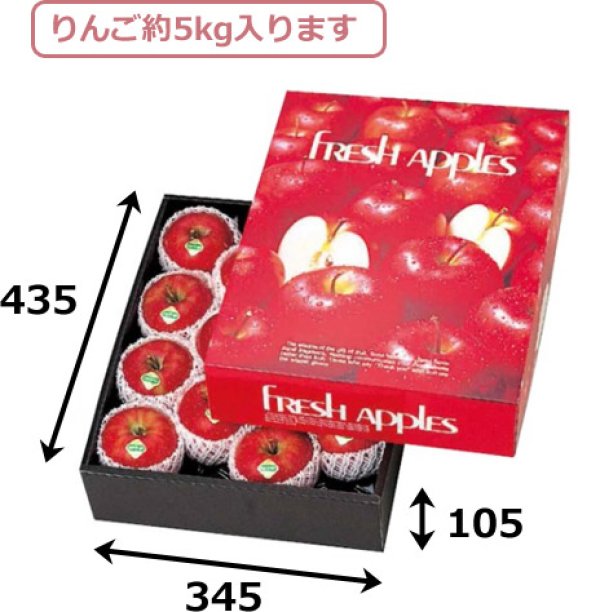 画像2: 送料無料・ギフト箱 メニーアップルズ 345×435×105mm「30枚」