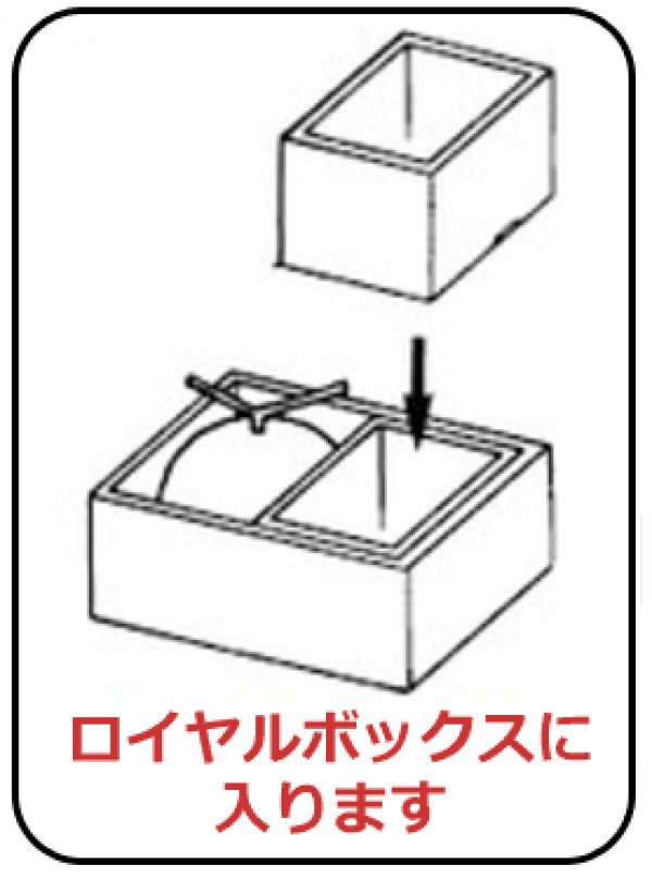 画像3: 送料無料・ギフト箱（フルーツ用）ロイヤルハーフ身/フタ 155×210×90mmほか「100枚」