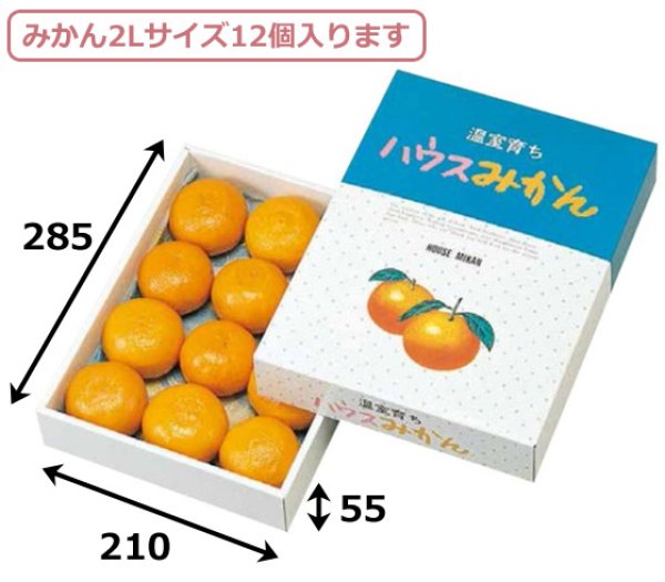 画像2: 送料無料・ギフト箱 ハウスみかん 210×285×55mmほか「60枚・100枚」