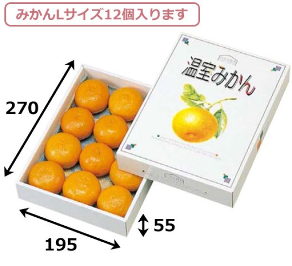 画像2: 送料無料・ギフト箱 温室みかん 1kg用/2kg用 195×270×55mmほか「60枚・80枚」