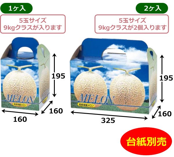 画像2: 送料無料・手提箱 ピュアメロン 1ヶ入/2ヶ入 160×160×195mmほか「50枚・100枚」