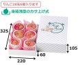 画像2: 送料無料・ギフト箱（フルーツ用）金線 身浅口  220×325×105（身箱深さ60）mmほか「30枚・40枚・50枚」 (2)