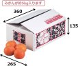 画像2: 送料無料・ギフト箱 新鮮みかん5kg 360×265×135mm「60枚」 (2)