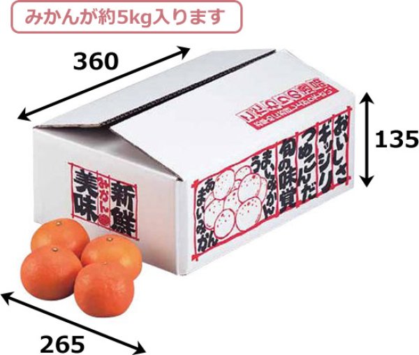 画像2: 送料無料・ギフト箱 新鮮みかん5kg 360×265×135mm「60枚」