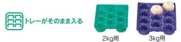 画像4: 送料無料・ギフト箱（もも用）桃ノ郷 225×295×110mmほか「40枚・50枚」