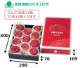 画像2: 送料無料・ギフト箱 アップルパレット3kg 290×400×105（身箱深さ70）mm「30枚」 (2)