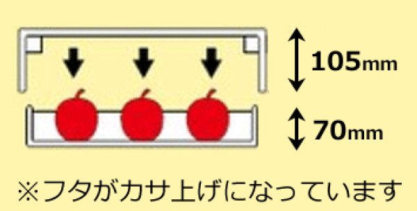 画像3: 送料無料・ギフト箱 アップルパレット3kg 290×400×105（身箱深さ70）mm「30枚」