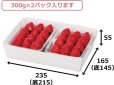 画像2: 送料無料・いちごパック用トレー 外寸上235×165×55、底215×145mmほか  全2色「200枚・300枚・400枚」 (2)