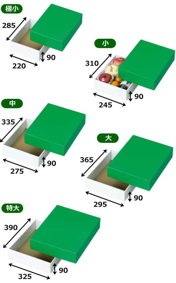 画像2: 送料無料・ギフト箱（フルーツ用）グリーンBOX 220×285×90mmほか「50枚」