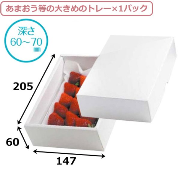 画像2: 送料無料・ギフト箱（フルーツ用）パールFS 147×205×60mmほか「50枚・100枚」