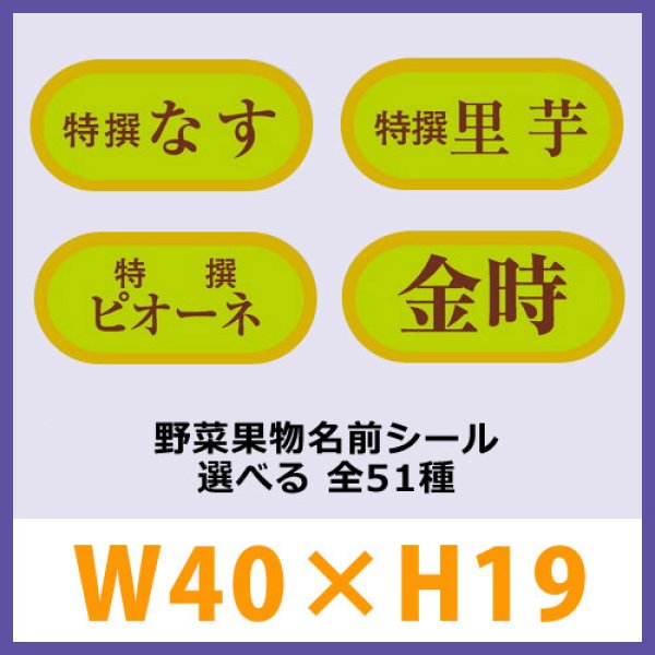 画像1: 送料無料・販促シール「野菜・果物名前ラベルシール　全50種類」40x19mm「1冊1,000枚」