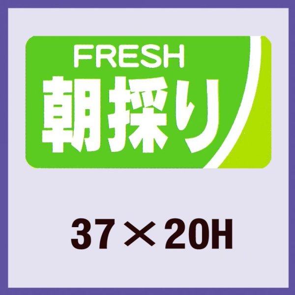 画像1: 送料無料・販促シール「朝採り」37x20mm「1冊1,000枚」