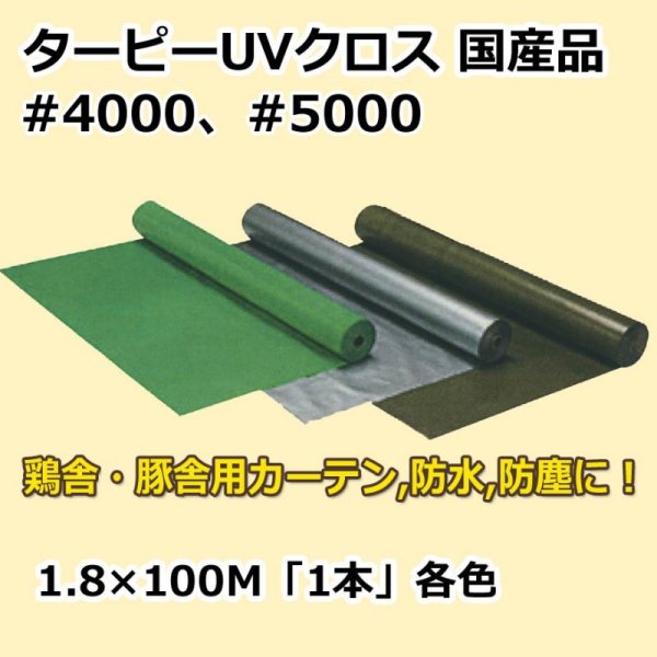 画像1: 送料無料・「国産」#4000、#5000 紫外線対策ターピーUVクロス 1.8m×100m巻・グリーン、シルバー、ODグリーン 「1巻」ブルーシート