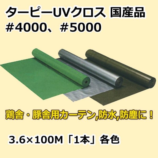 画像1: 送料無料・「国産」#4000、#5000 紫外線対策ターピーUVクロス 3.6m×100m巻・グリーン、シルバー、ODグリーン 「1巻」ブルーシート