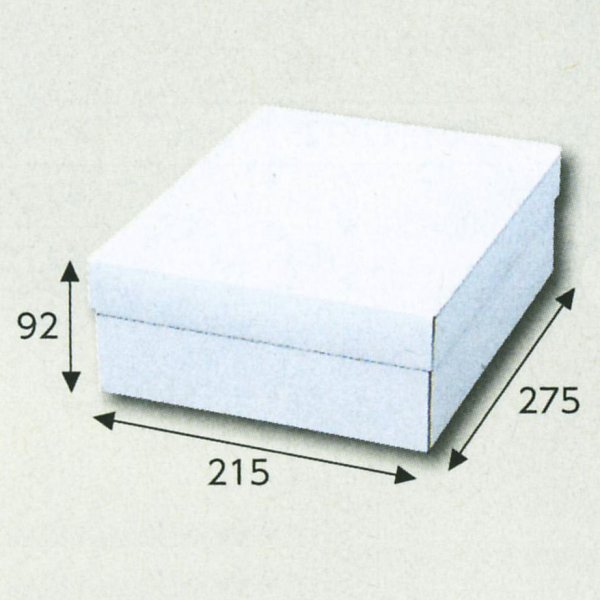 画像1: 送料無料・白無地カバン箱215×275×92(mm) 「10枚から」