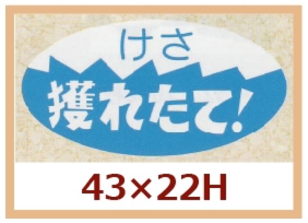 画像1: 送料無料・販促シール「けさ　採れたて！」43x22mm「1冊750枚」