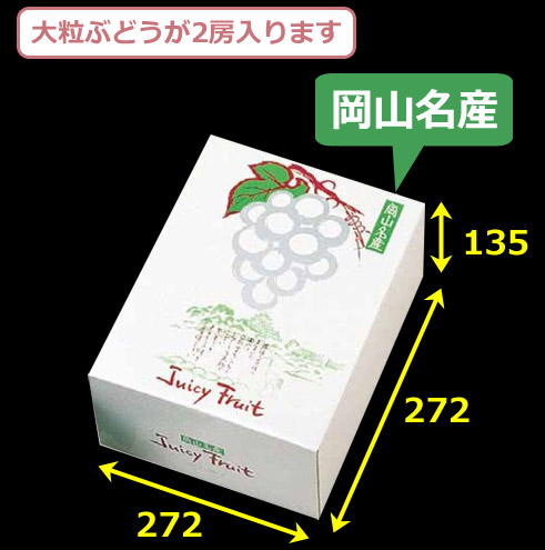 送料無料 フルーツギフトボックス 岡山名産ジューシーフルーツ 272 2 135mm 40個 段ボール箱と梱包資材のin The Box インザボックス