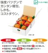 画像2: 送料無料・ギフト箱（フルーツ用）ワンタッチ 四季果実 180×270×110mmほか「40枚・50枚」 (2)