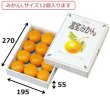 画像2: 送料無料・ギフト箱 温室みかん 1kg用/2kg用 195×270×55mmほか「60枚・80枚」 (2)