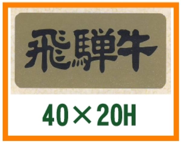 画像1: 送料無料・精肉用販促シール「飛騨牛」40x20mm「1冊1,000枚」 (1)