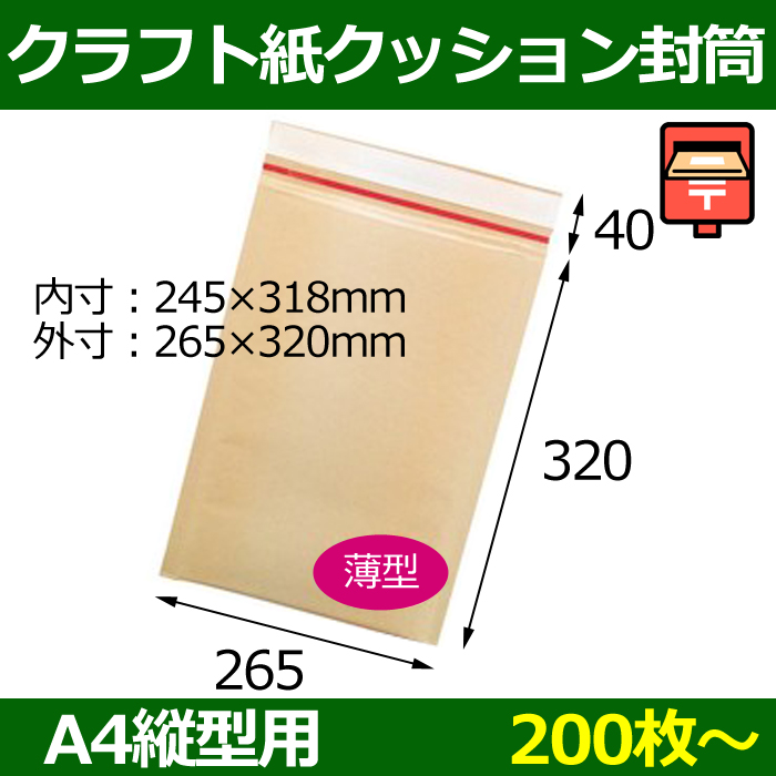 送料無料・ゆうメール，クロネコDM便対応 ポスト投函用薄いクッション