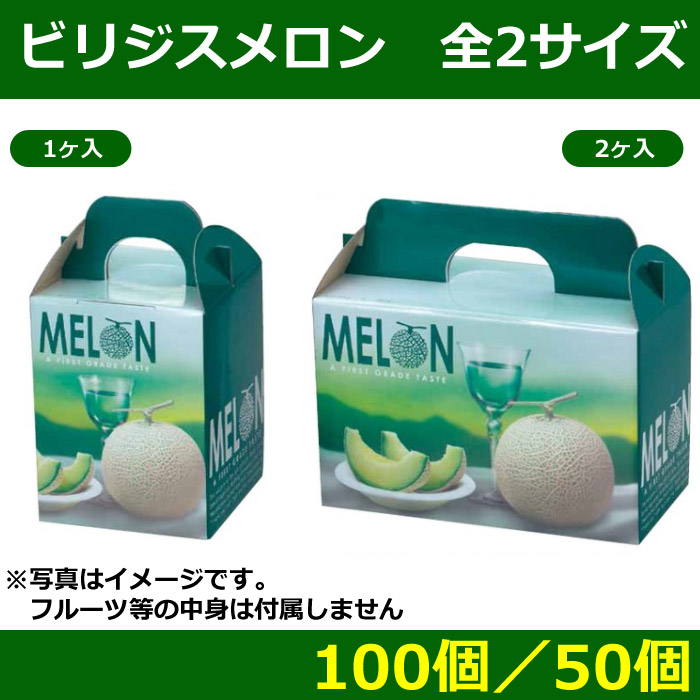 送料無料・メロン用ギフトボックス ビリジスメロン 全2サイズ ...