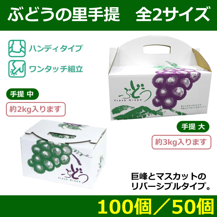 送料無料・ぶどう用ギフトボックス ぶどうの里手提 中／大「100個／50